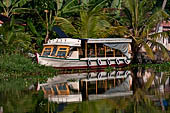 Kerala backwaters, our three hours neighborhood tour in the narrow canoe towards Vembanad Lake and along one of the  narrow canal running near our guest house at Kumarakom. 